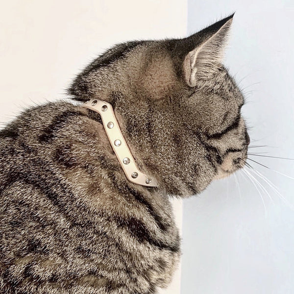 Bastet cat deals collar