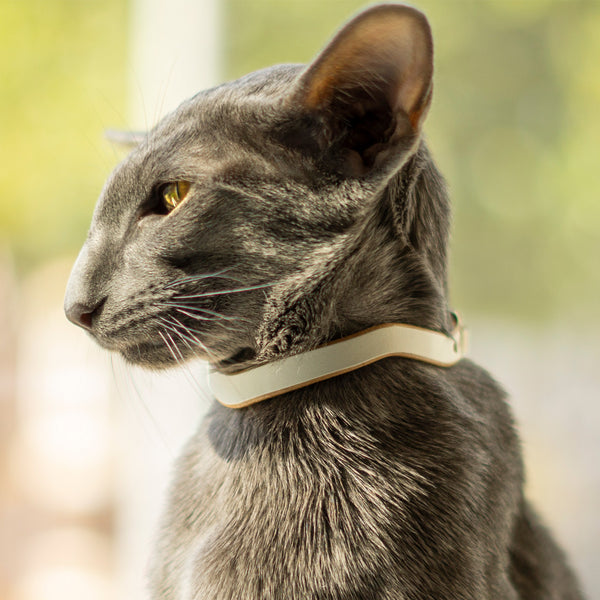 Bastet cat collar 2025