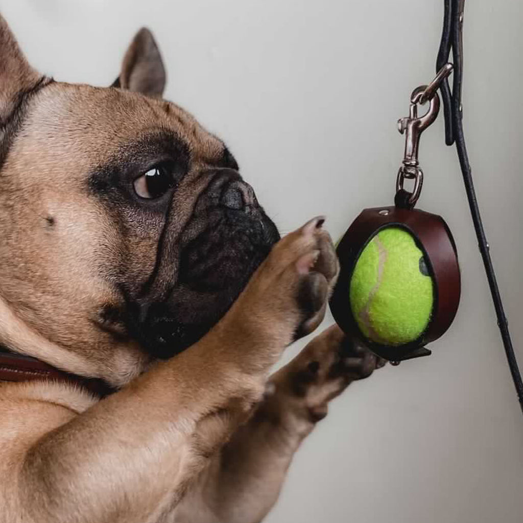 BALL HOLDER