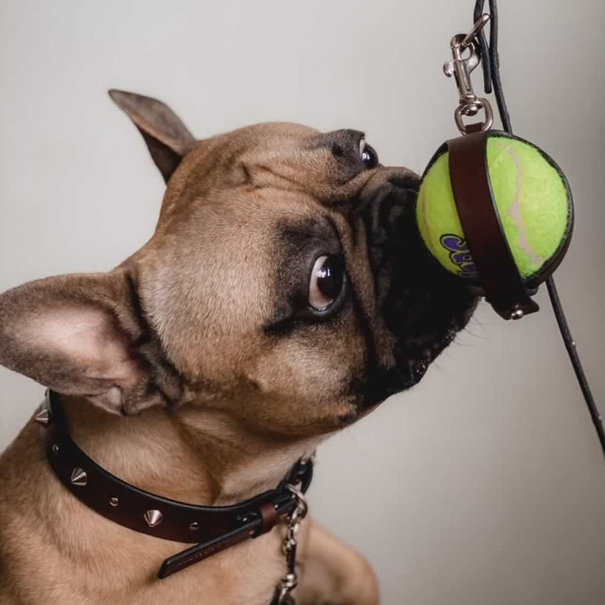 BALL HOLDER