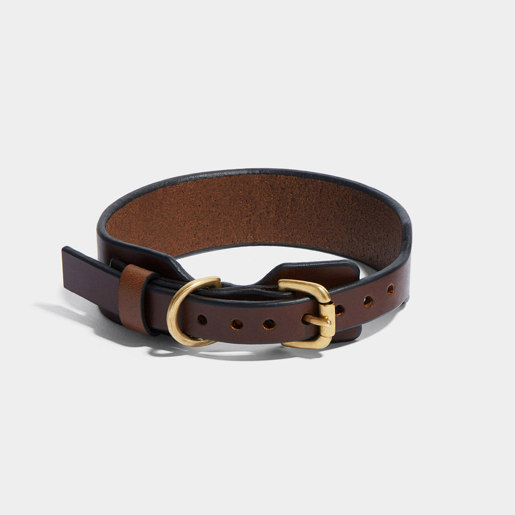 MINIMAL COLLAR SIGHTHOUND