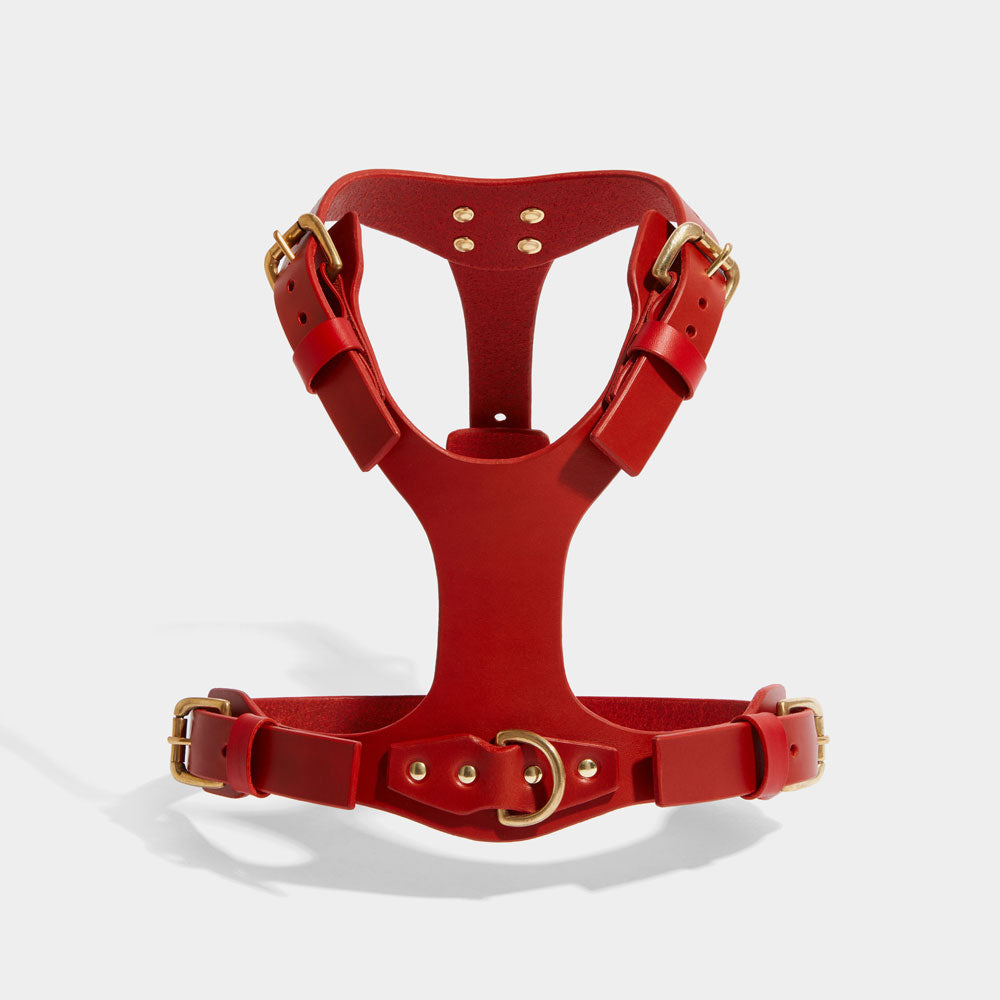 MEDIUM DOG HARNESS Anubis Bastet