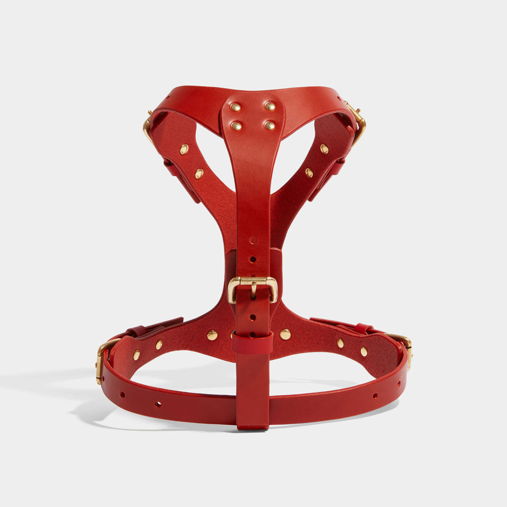 MEDIUM DOG HARNESS