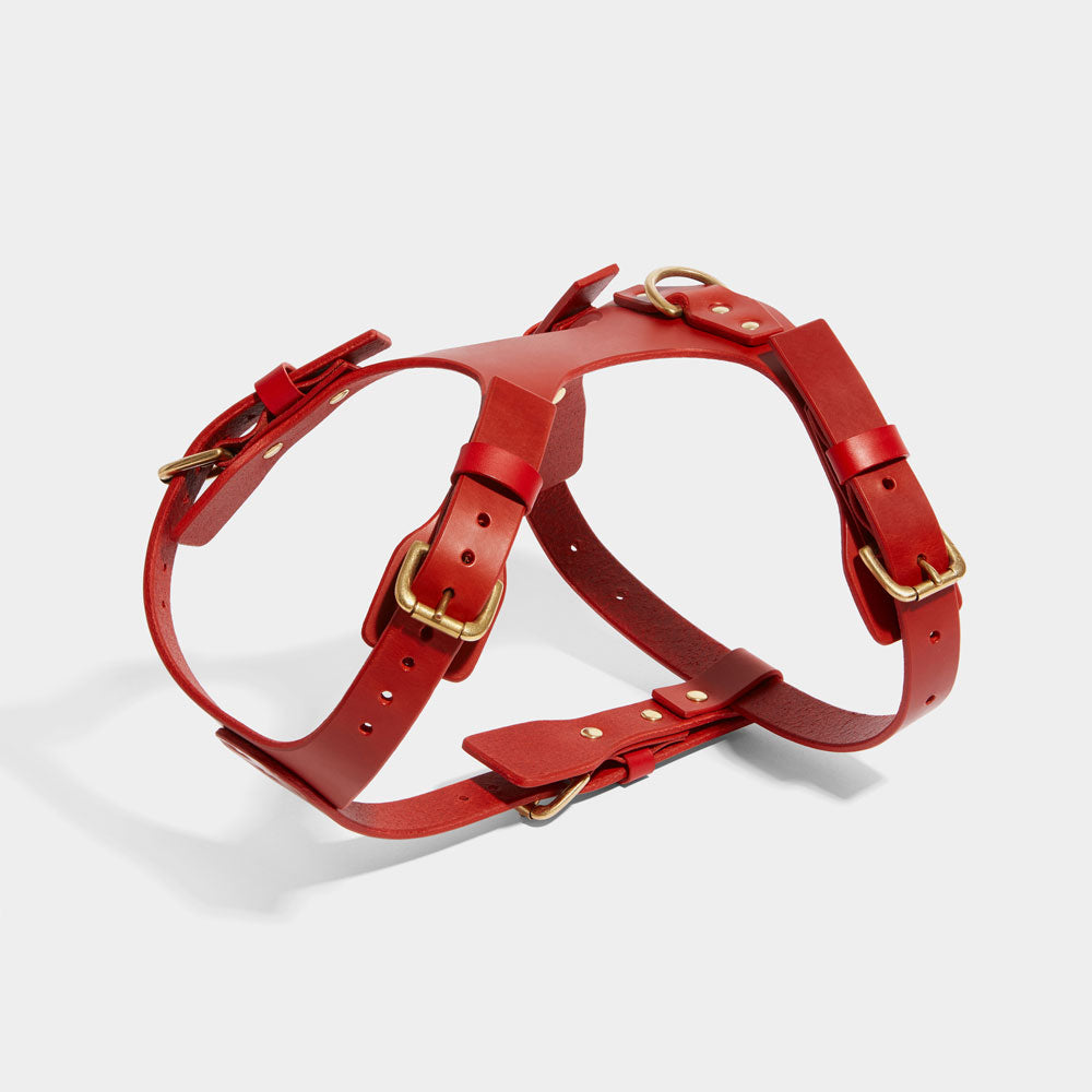 MEDIUM DOG HARNESS