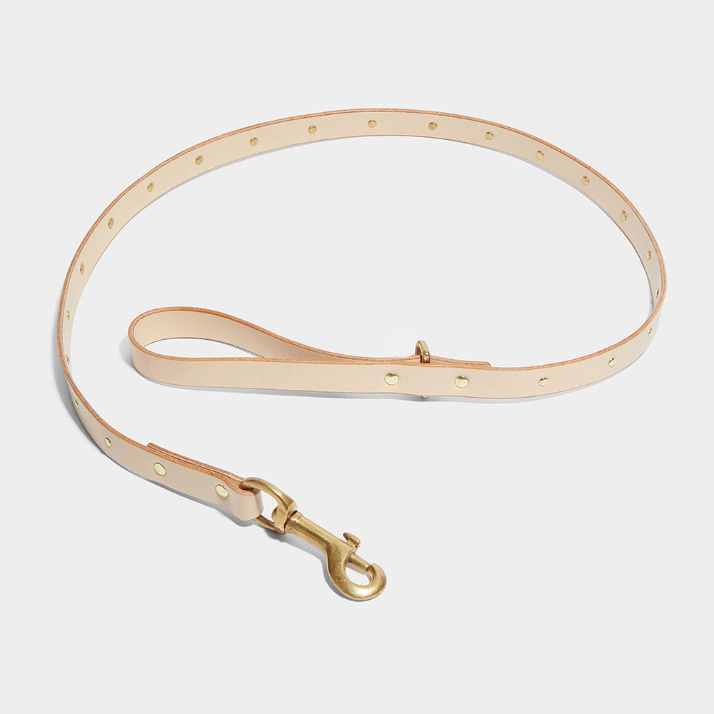 SINGLE STUDDED LEATHER LEAD