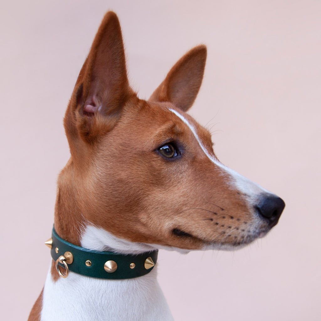 RING SPIKE STUDDED COLLAR