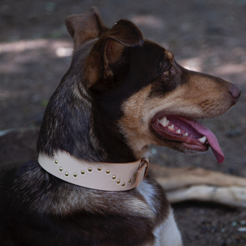 WAVE STUDDED COLLAR
