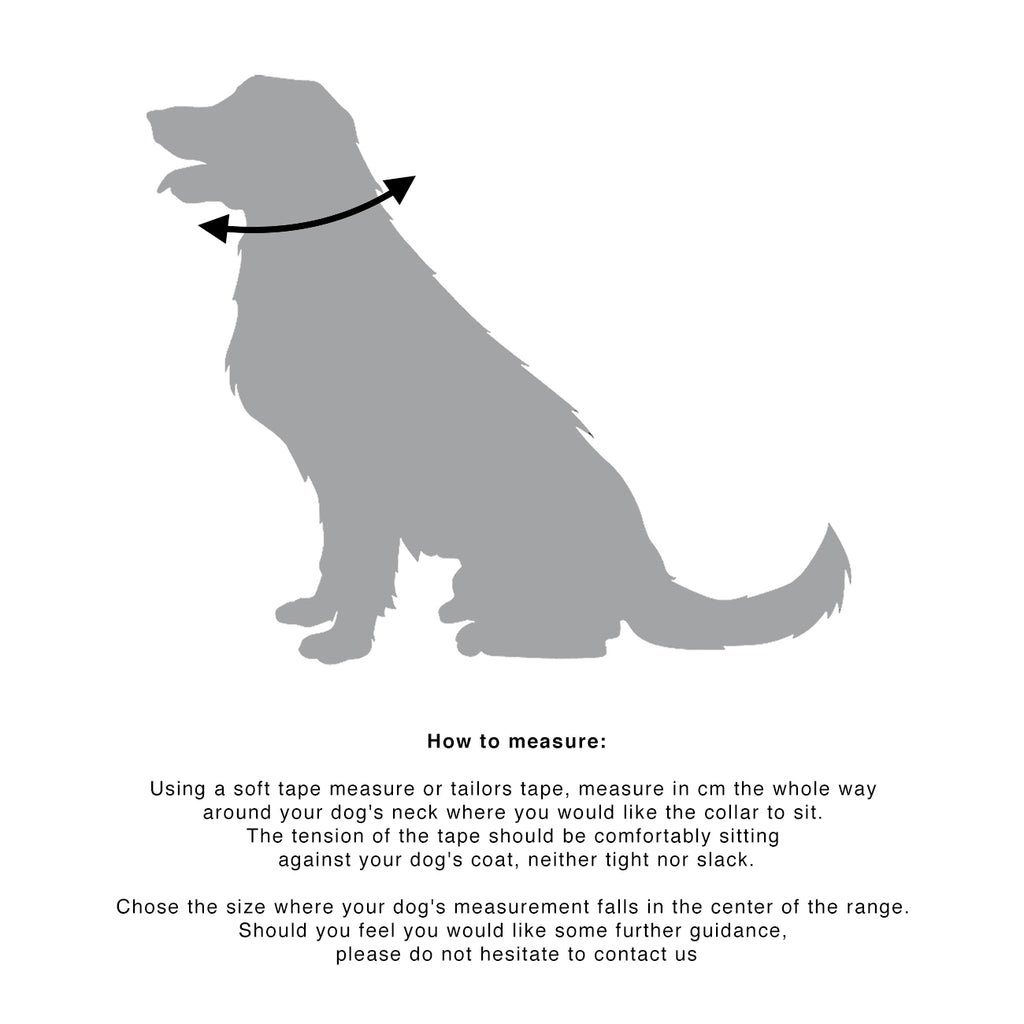 MINIMAL COLLAR LARGE
