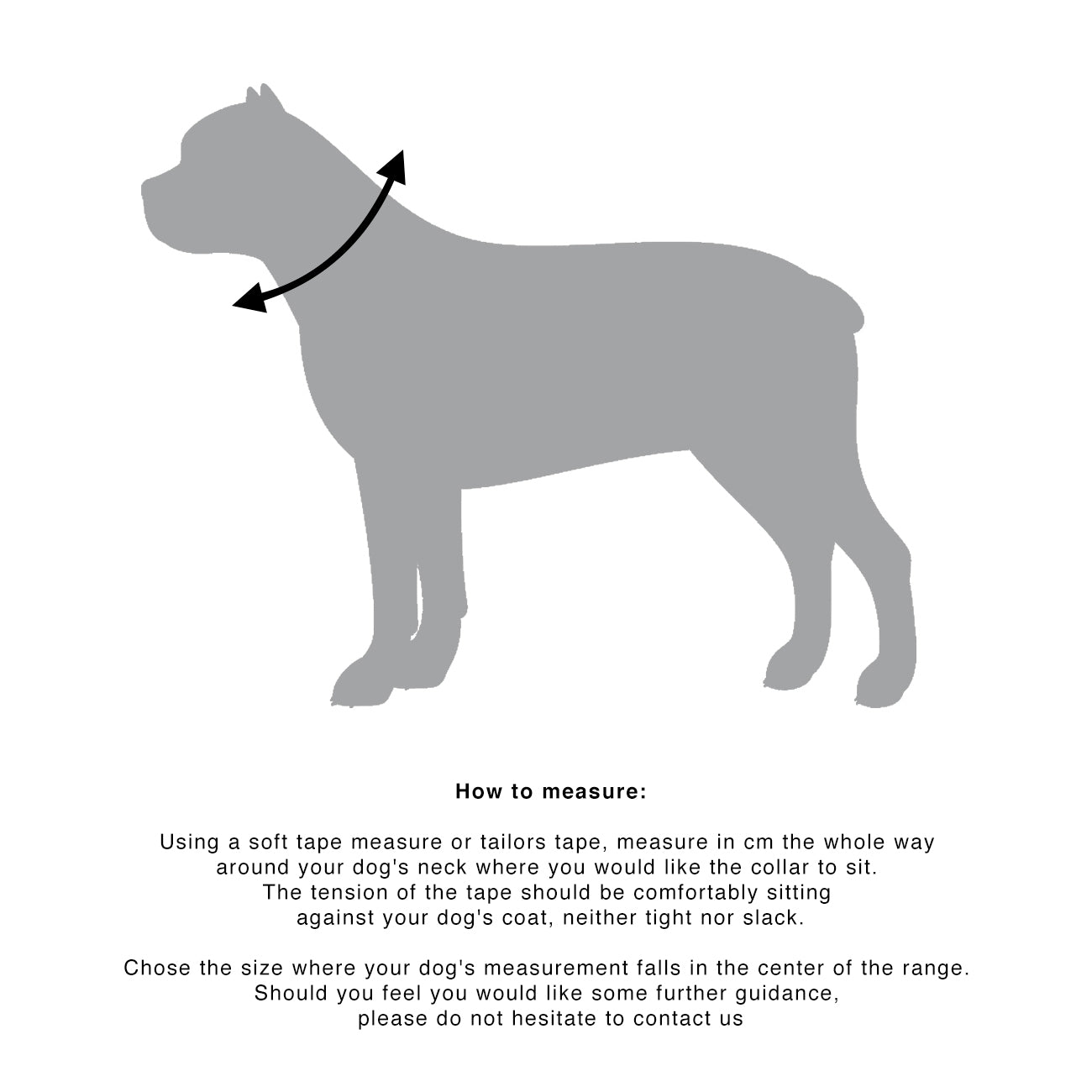 BASTET STUDDED COLLAR