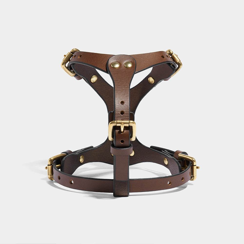 SMALL DOG HARNESS