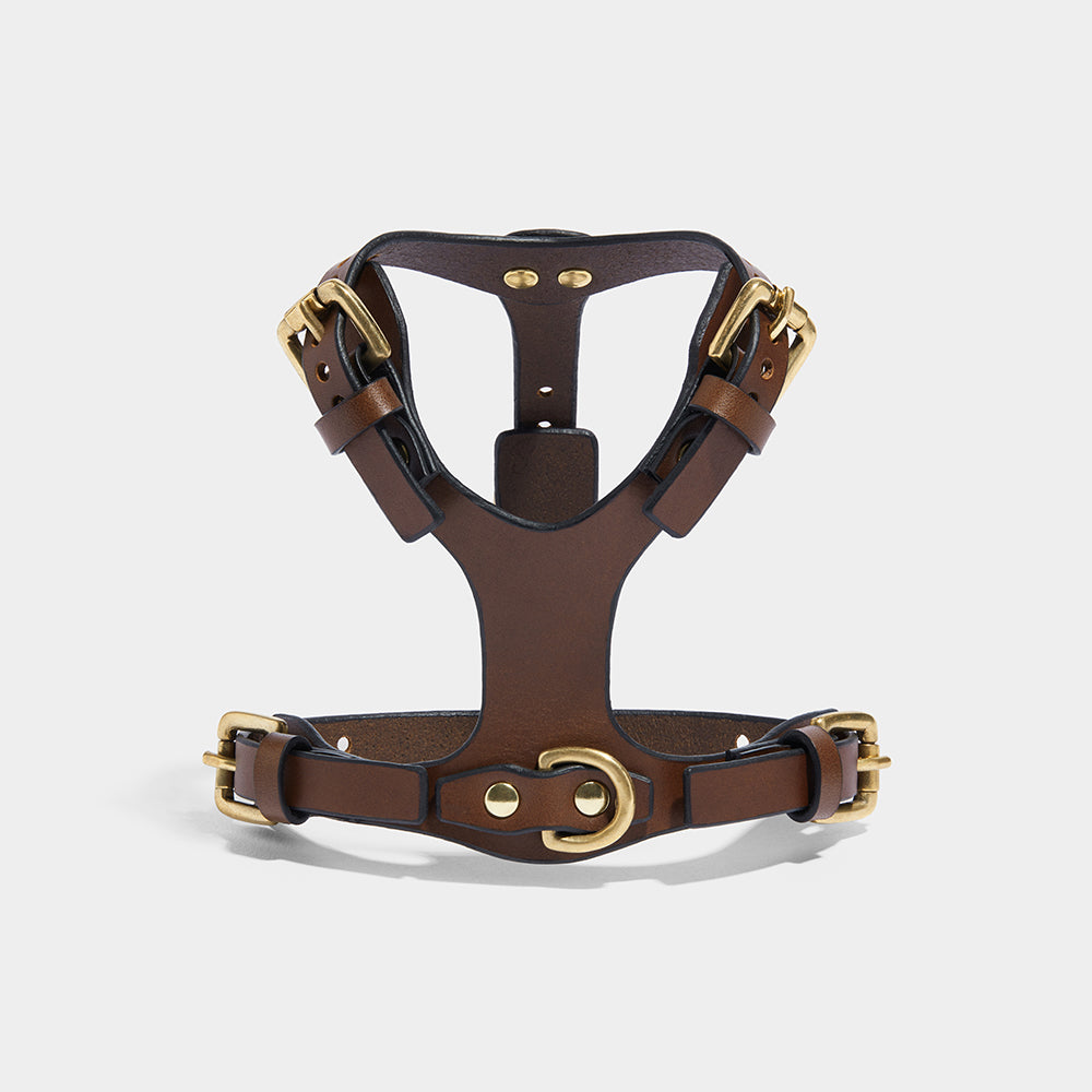 SMALL DOG HARNESS