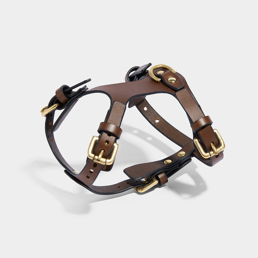 SMALL DOG HARNESS