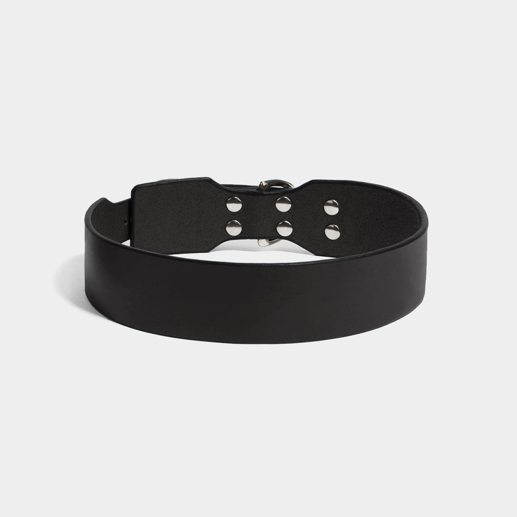 MINIMAL COLLAR LARGE