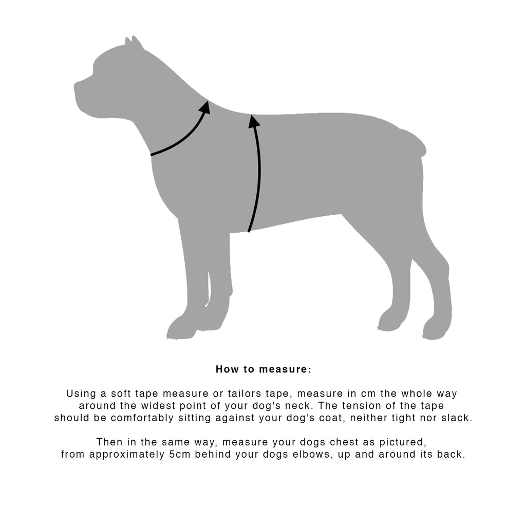 LARGE DOG HARNESS