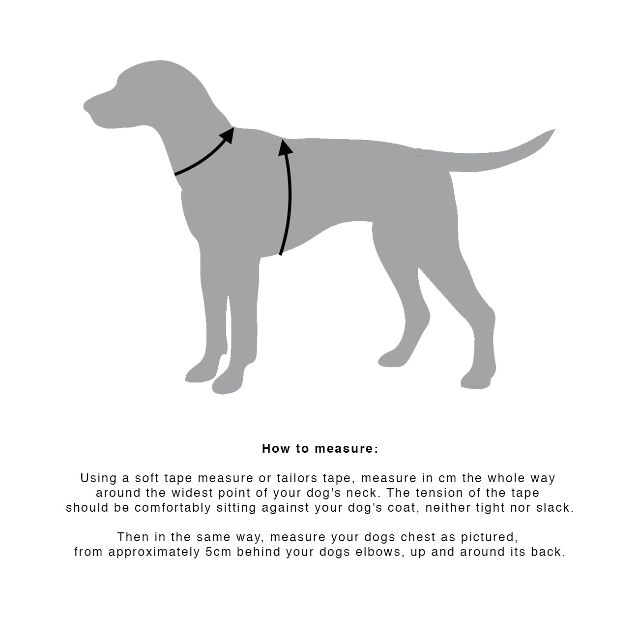 MEDIUM DOG HARNESS