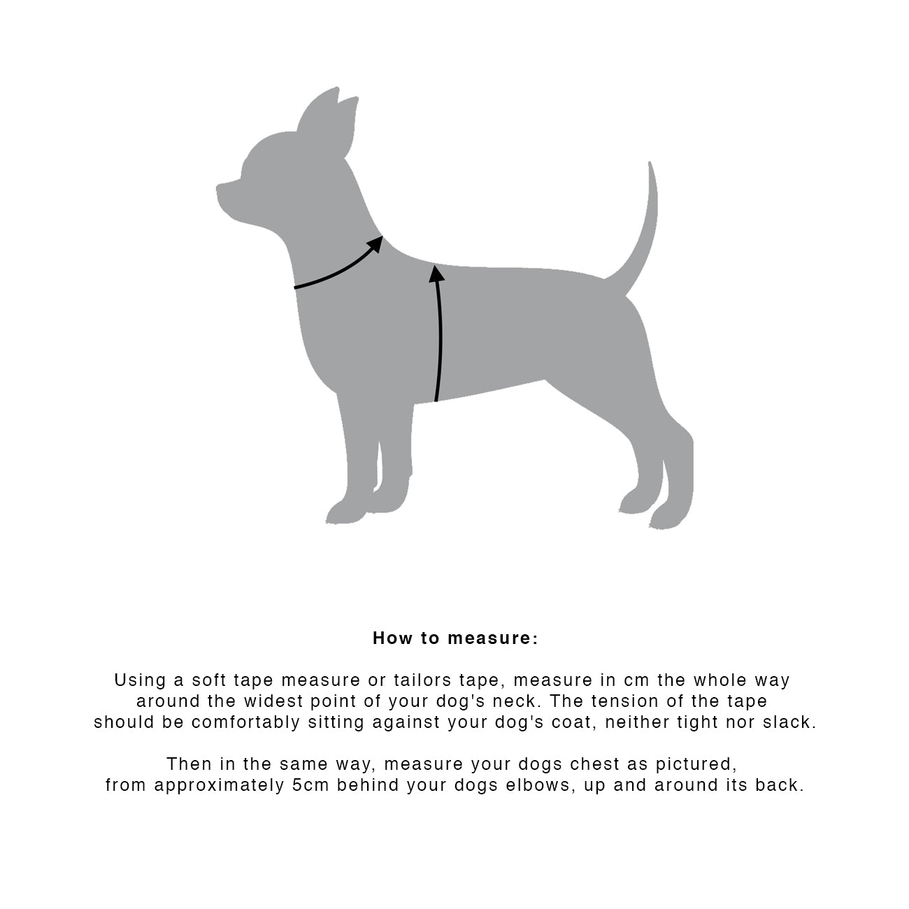 SMALL DOG HARNESS